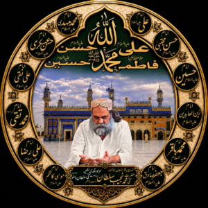 صاحبزادہ نجیب سلطان باھو